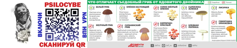 Псилоцибиновые грибы GOLDEN TEACHER  как найти   Венёв 